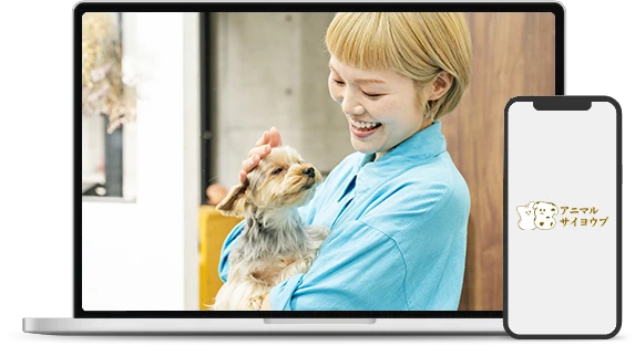 アニマルサイヨウブ